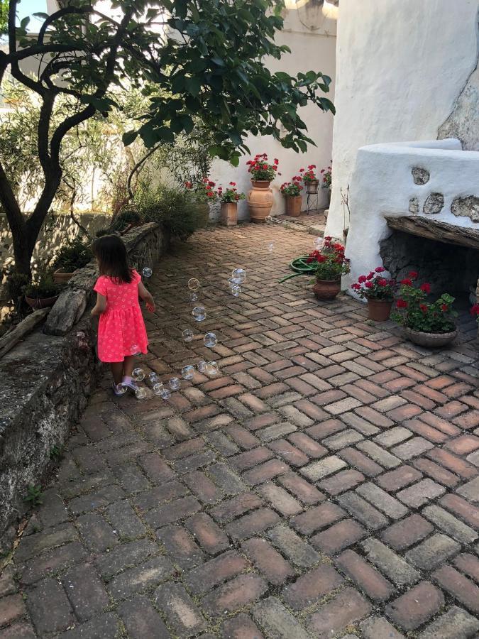 B&B Corte San Lussorio Oliena Exterior photo